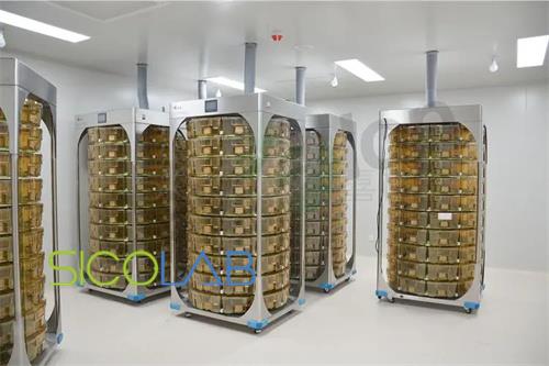 動物實驗室設計