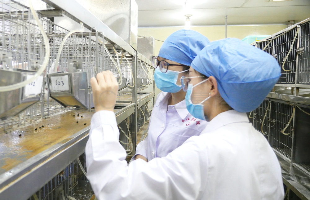 GMP實(shí)驗(yàn)室裝修