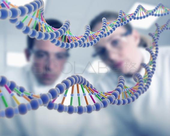 實(shí)驗(yàn)室